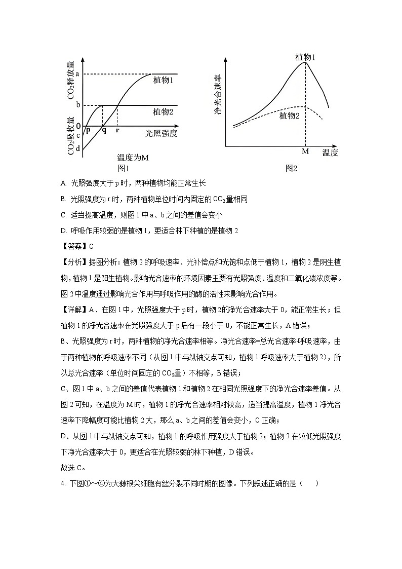 北京市房山区2025届高三下学期一模生物试题（解析版）第3页