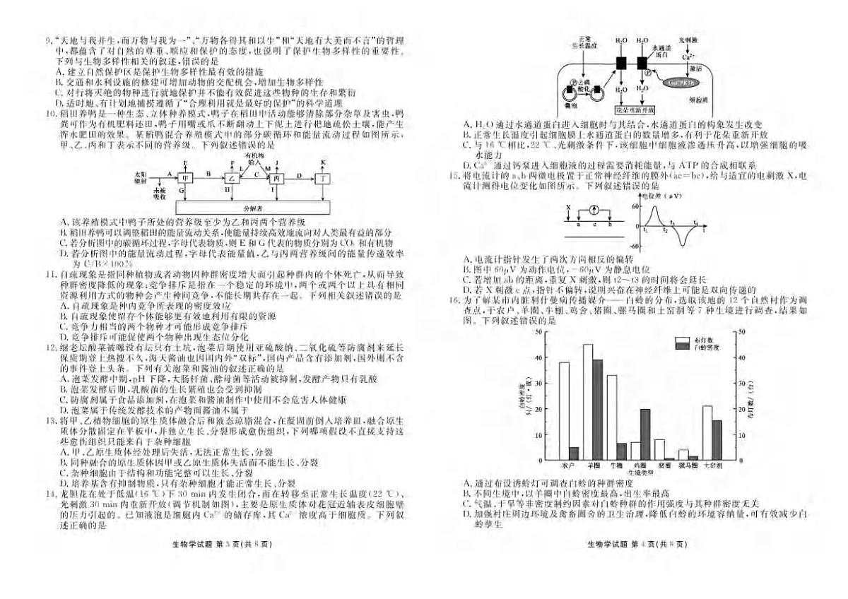 生物丨湖北省十堰市2025届高三下学期5月份适应性考试试卷及答案第2页