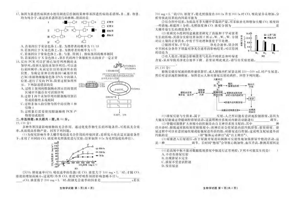 生物丨湖北省十堰市2025届高三下学期5月份适应性考试试卷及答案第3页