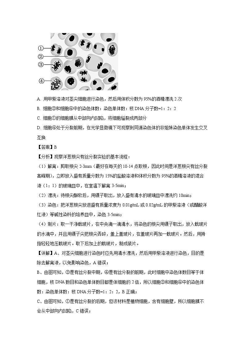 重庆市2023-2024学年高一下学期七校联考生物试题（解析版）第2页