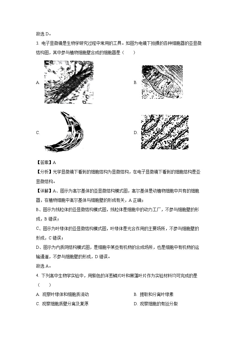 浙江省四校联考2023-2024学年高一下学期3月月考生物试题（解析版）第2页