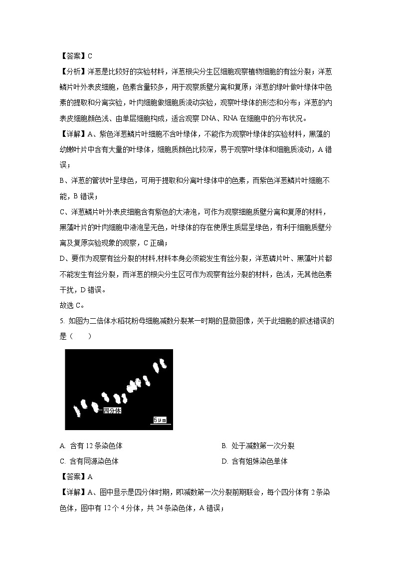 浙江省四校联考2023-2024学年高一下学期3月月考生物试题（解析版）第3页