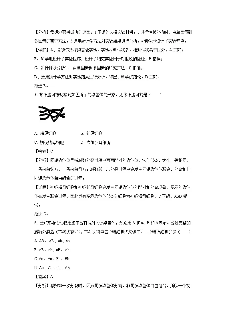 河北省保定市保定部分高中2023-2024学年高一下学期3月月考生物试题（解析版）第3页