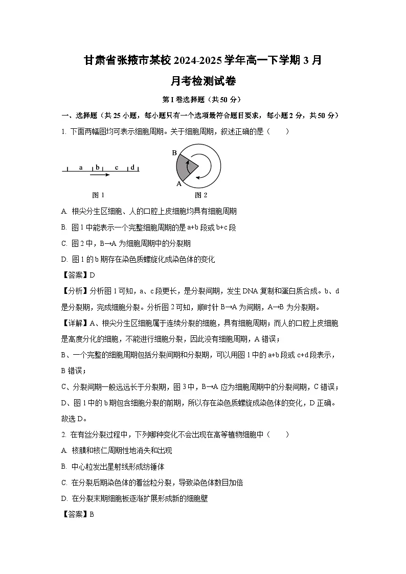 甘肃省张掖市某校2024-2025学年高一下学期3月月考检测生物试题（解析版）第1页