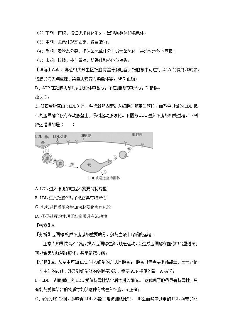 北京市东城区2025届高三一模生物试卷（解析版）第2页