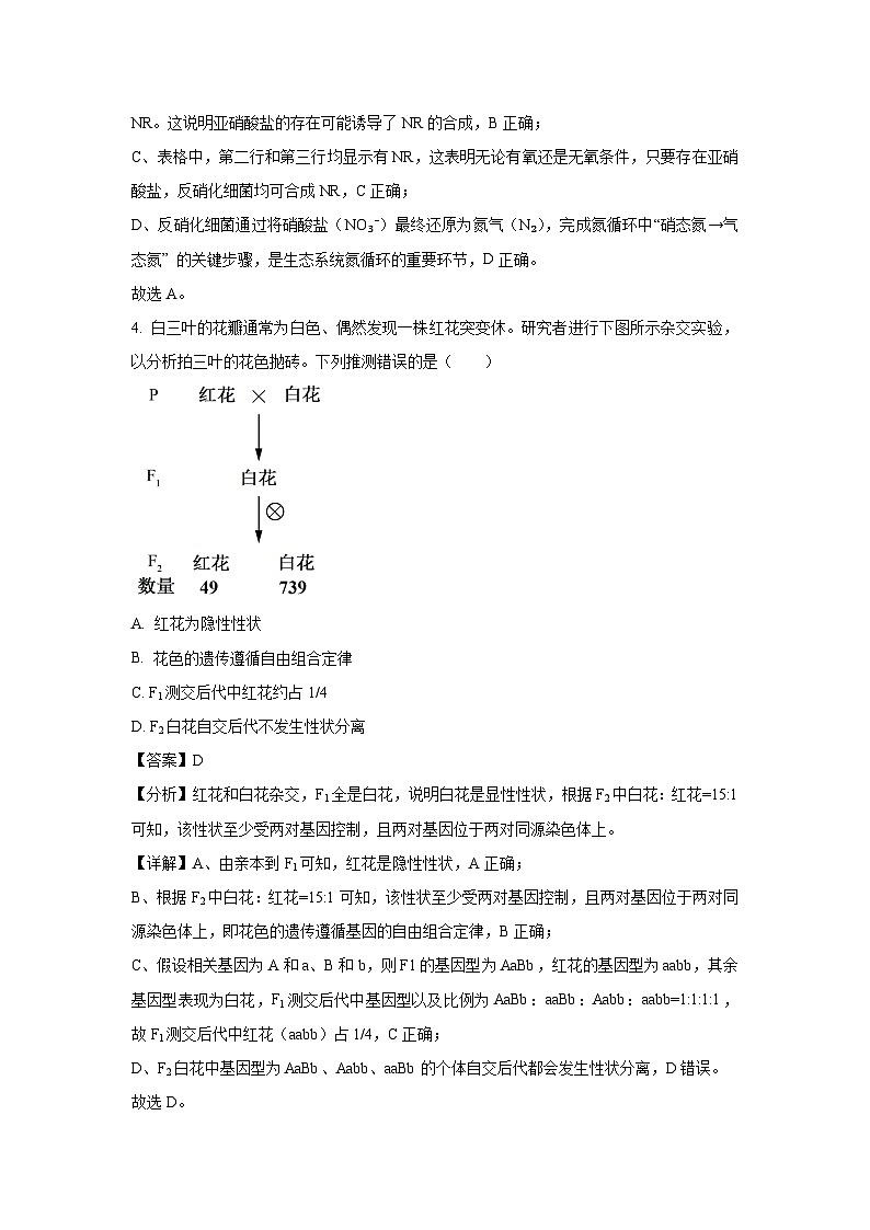 北京市海淀区2025届高三下5月练习生物试卷（解析版）第3页
