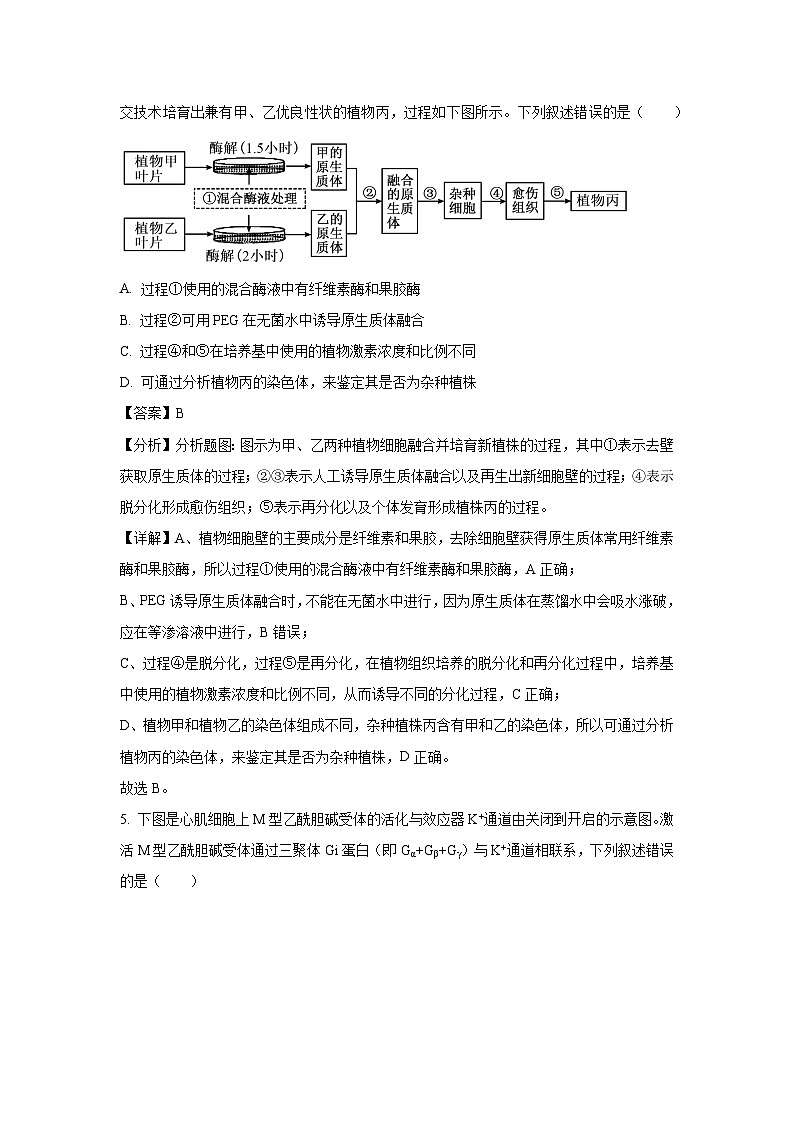四川省绵阳市2025届高三第三次诊断性考试生物试卷（解析版）第3页