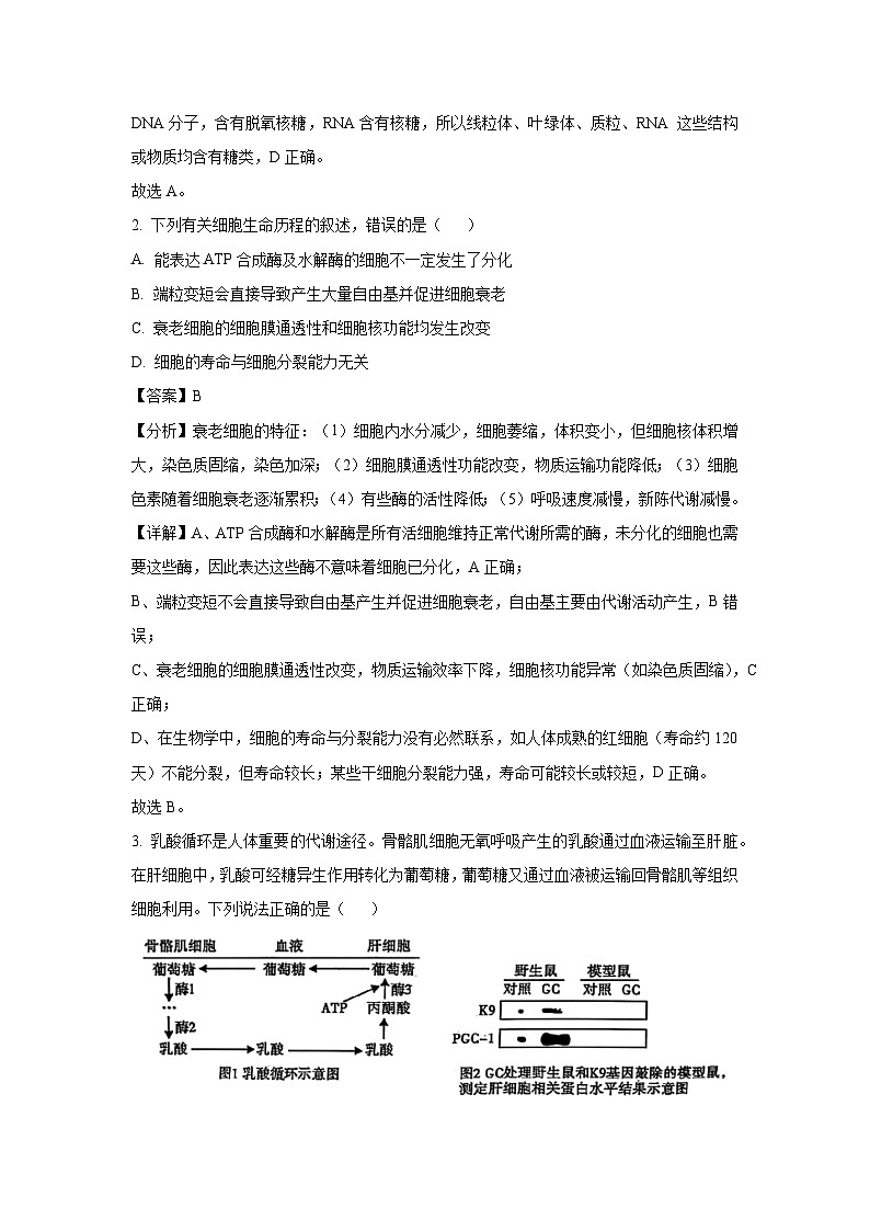 陕西省咸阳市2025届高三模拟检测（三）生物试卷（解析版）第2页