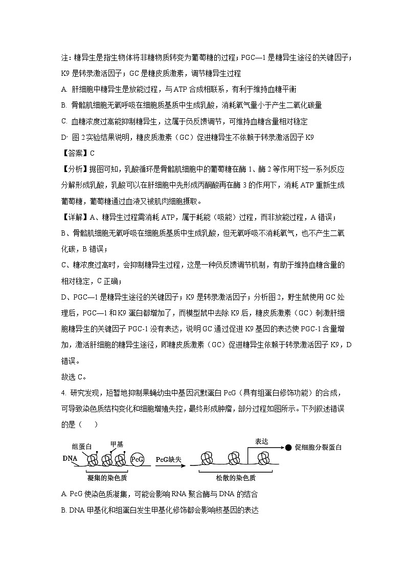 陕西省咸阳市2025届高三模拟检测（三）生物试卷（解析版）第3页