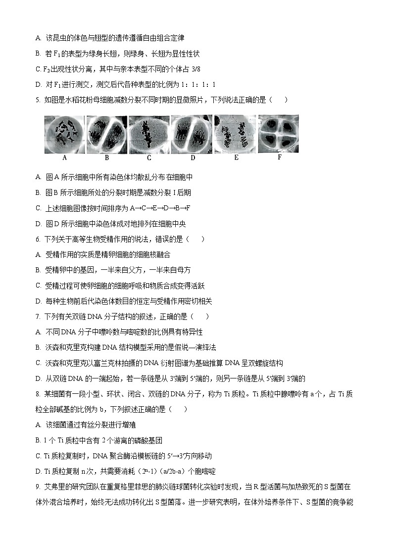 湖南省2024-2025学年高一下学期期中测试生物试卷（原卷版+解析版）第2页