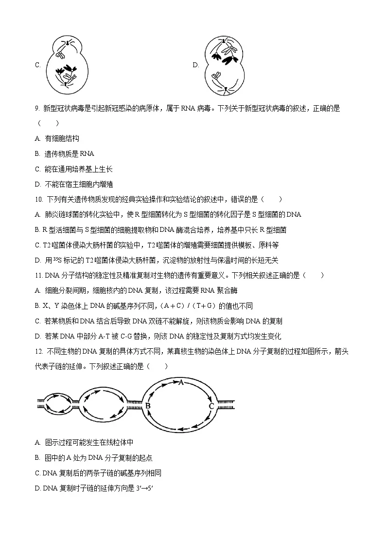 河北省邯郸市2024-2025学年高一下学期4月期中生物试题（原卷版+解析版）第3页