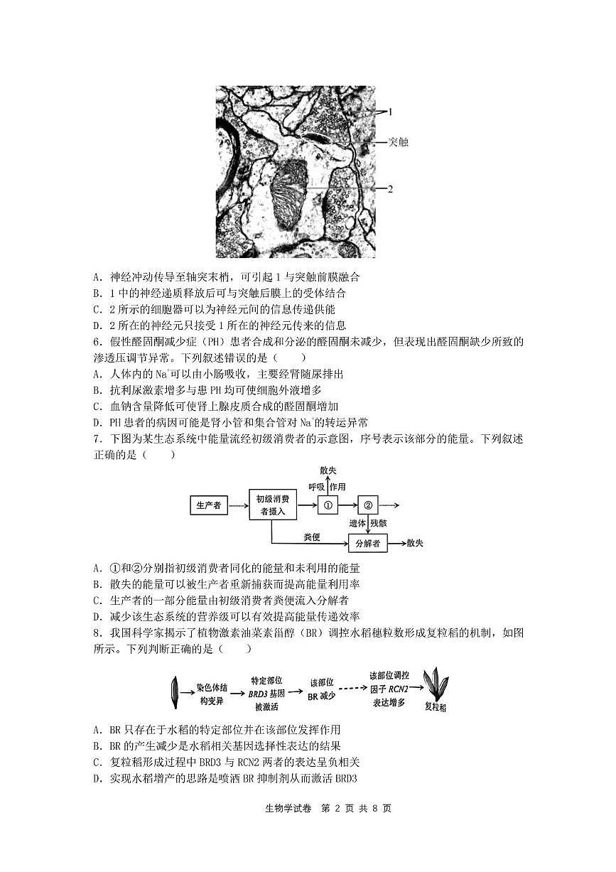 陕西省西安市铁一中学2025届高三下学期5月第六次模拟考试 生物 PDF版含答案第2页