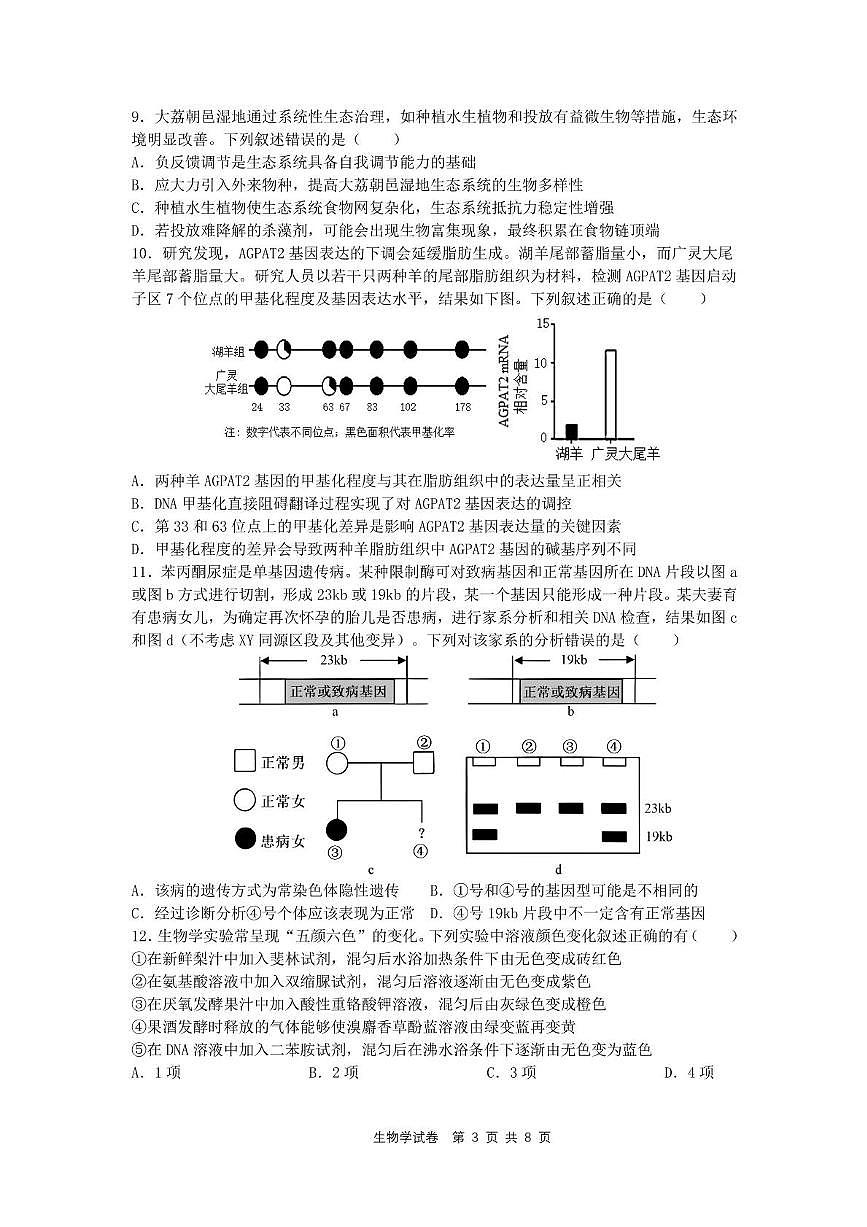 陕西省西安市铁一中学2025届高三下学期5月第六次模拟考试 生物 PDF版含答案第3页