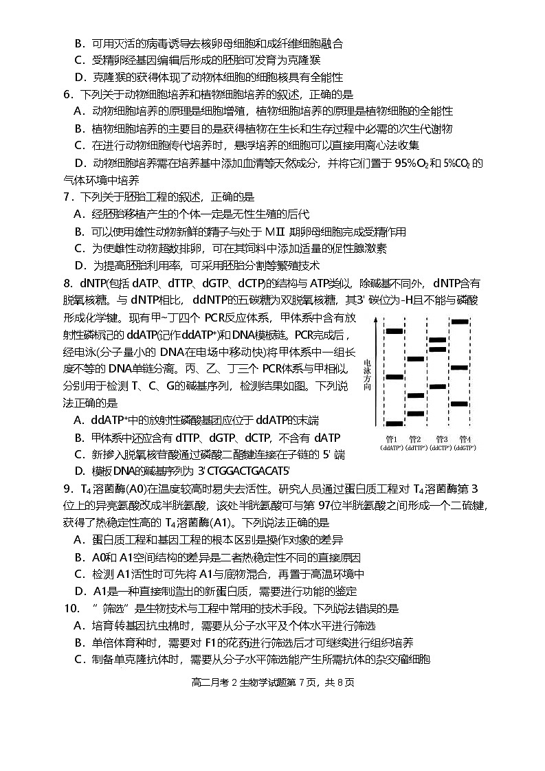 福建省连城县第一中学2024-2025学年高二下学期5月月考2生物试题（Word版附答案）第2页