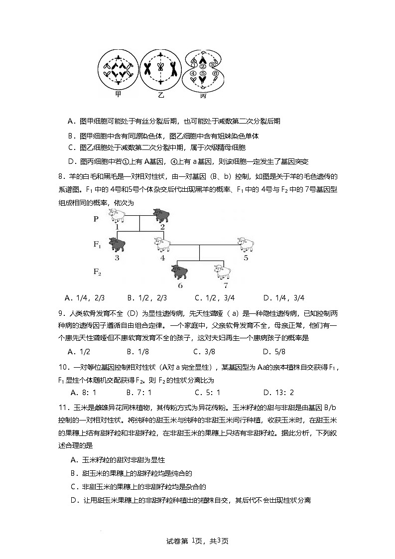 福建省连城县第一中学2024-2025学年高一下学期5月月考2生物试题（Word版附答案）第3页
