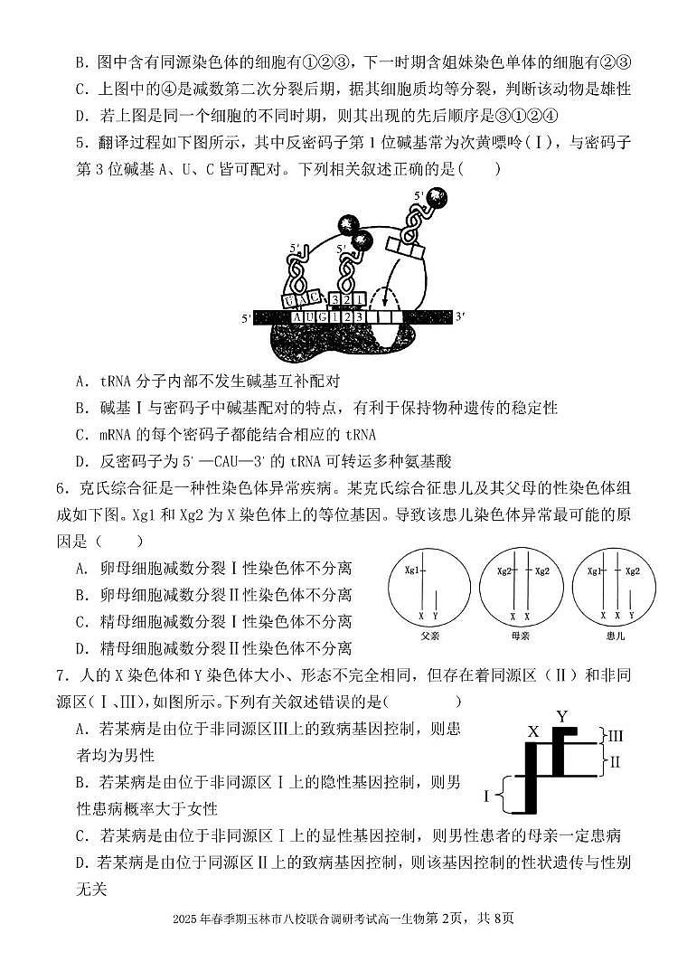 广西玉林市八校2024-2025学年高一下学期4月期中联合调研测试生物试题（PDF版附解析）第2页
