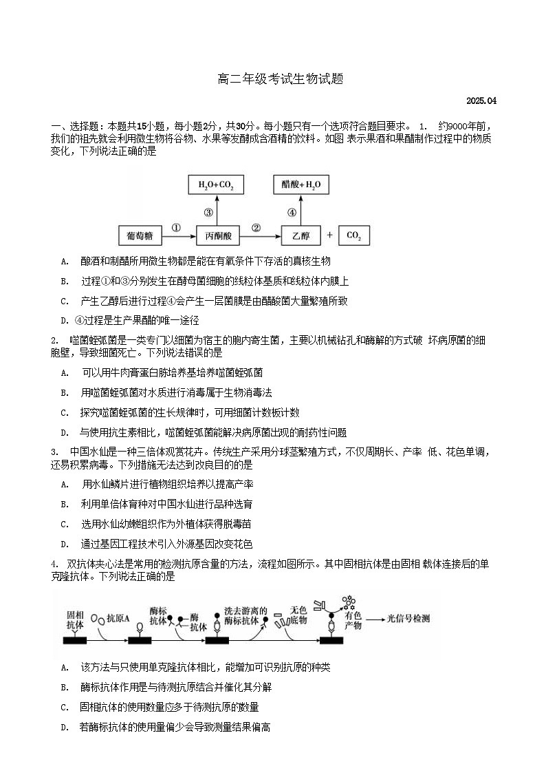 山东省泰安市2024-2025学年高二下学期4月期中考试生物试题（Word版附答案）第1页