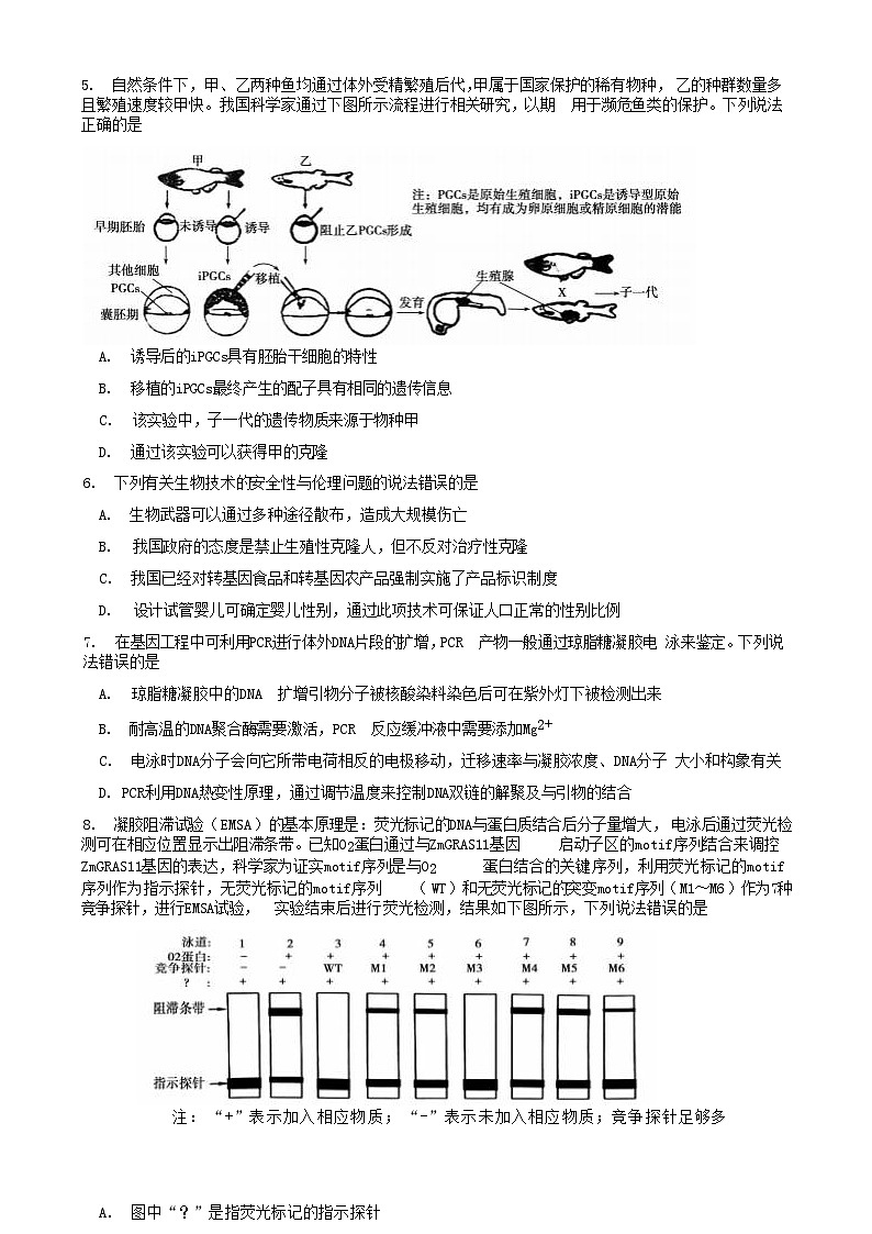 山东省泰安市2024-2025学年高二下学期4月期中考试生物试题（Word版附答案）第2页