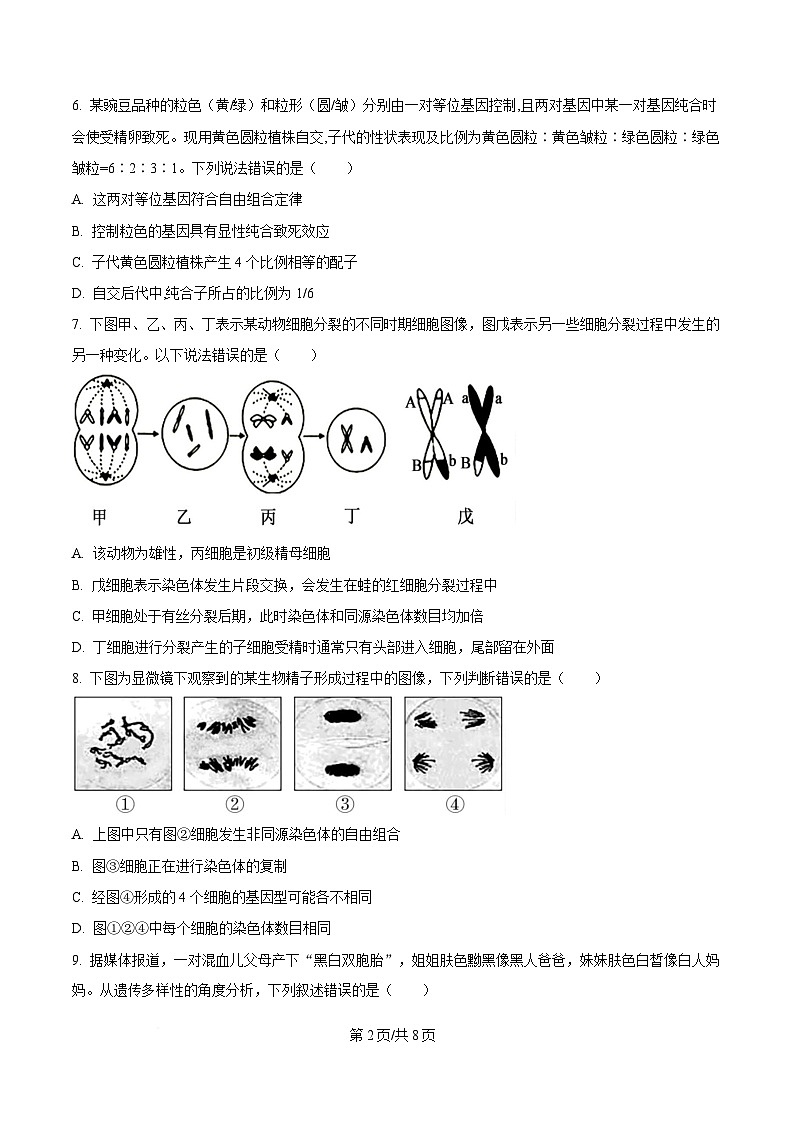 四川省内江市资中县第二中学2024-2025学年高一下学期4月期中生物试题（原卷版）第2页