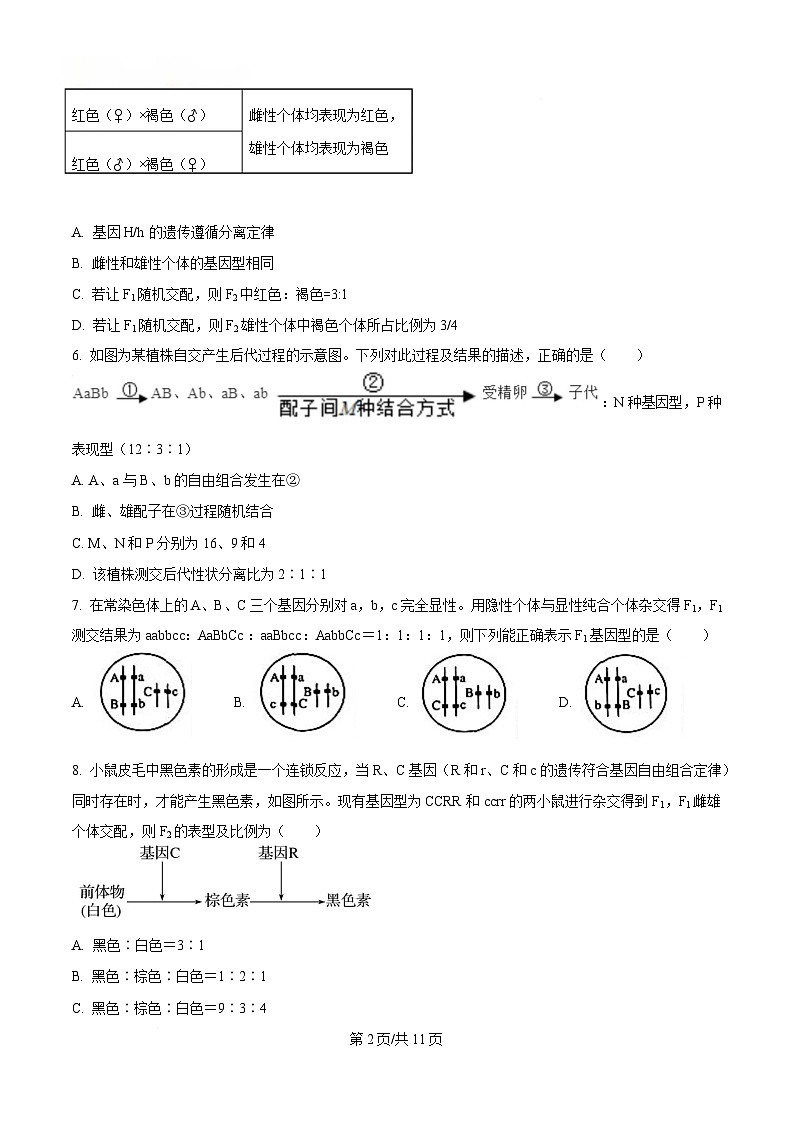 四川省西充中学2024-2025学年高一下学期4月期中考试生物试题（原卷版）第2页