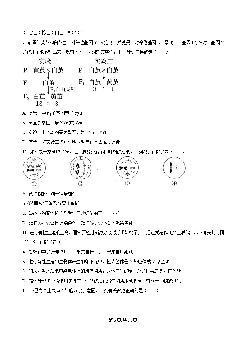 四川省西充中学2024-2025学年高一下学期4月期中考试生物试题（原卷版）第3页