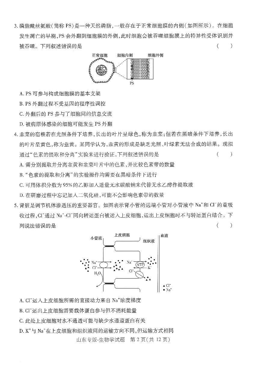 2025年高三生物高考押题预测卷（山东专版）（王后雄）及其答案第2页
