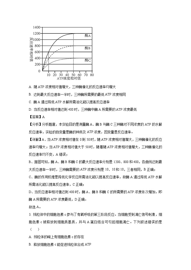 河南省许昌市2025届高三二模生物试卷（解析版）第2页