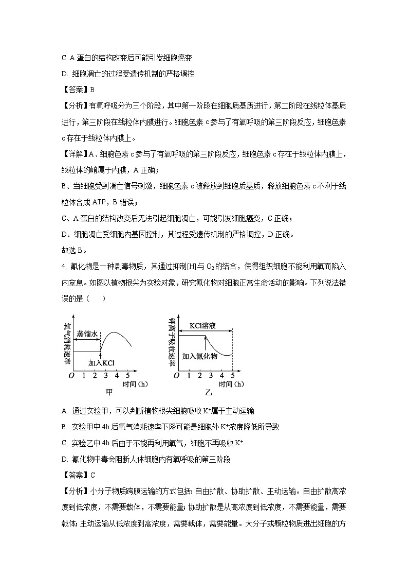 河南省许昌市2025届高三二模生物试卷（解析版）第3页