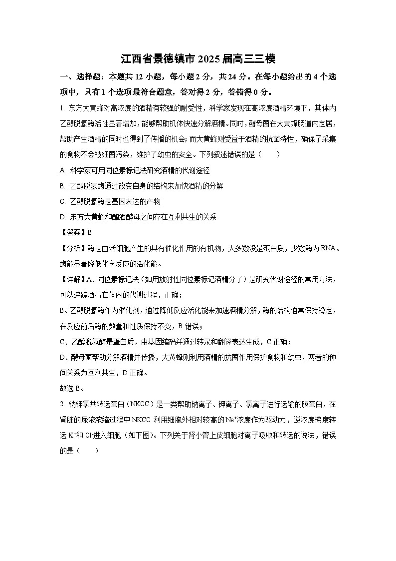 江西省景德镇市2025届高三三模生物试卷（解析版）第1页