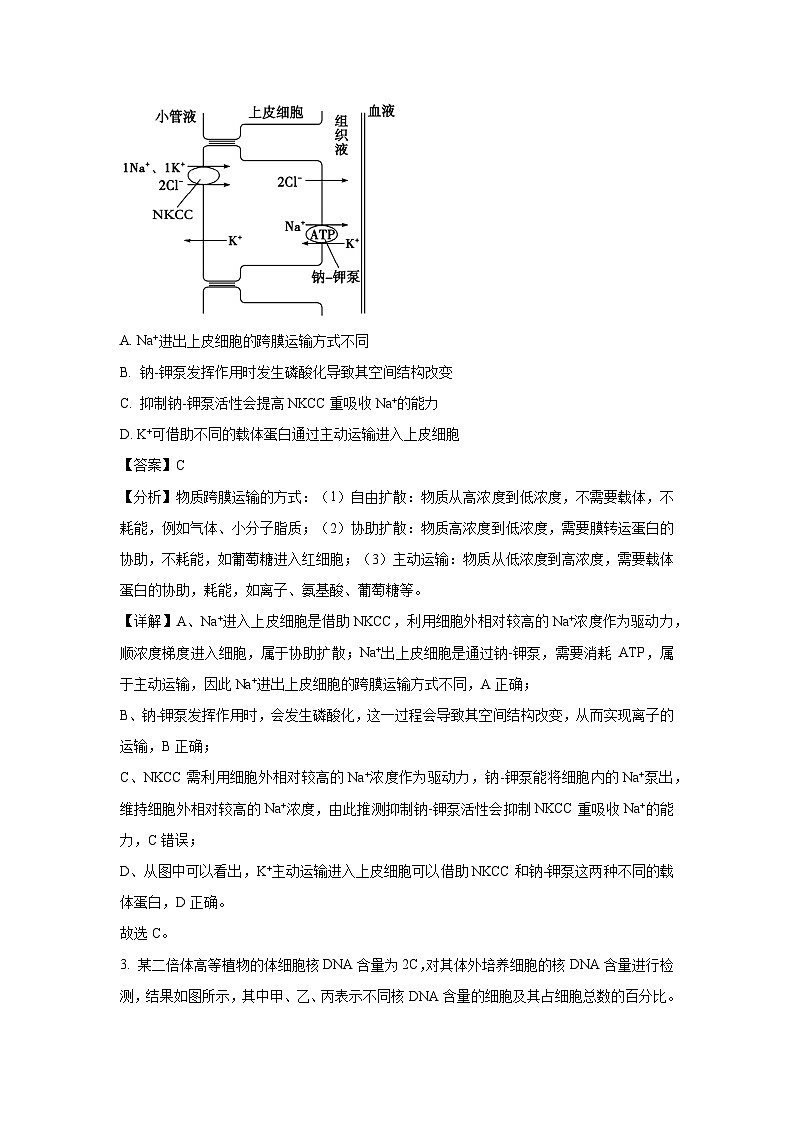 江西省景德镇市2025届高三三模生物试卷（解析版）第2页