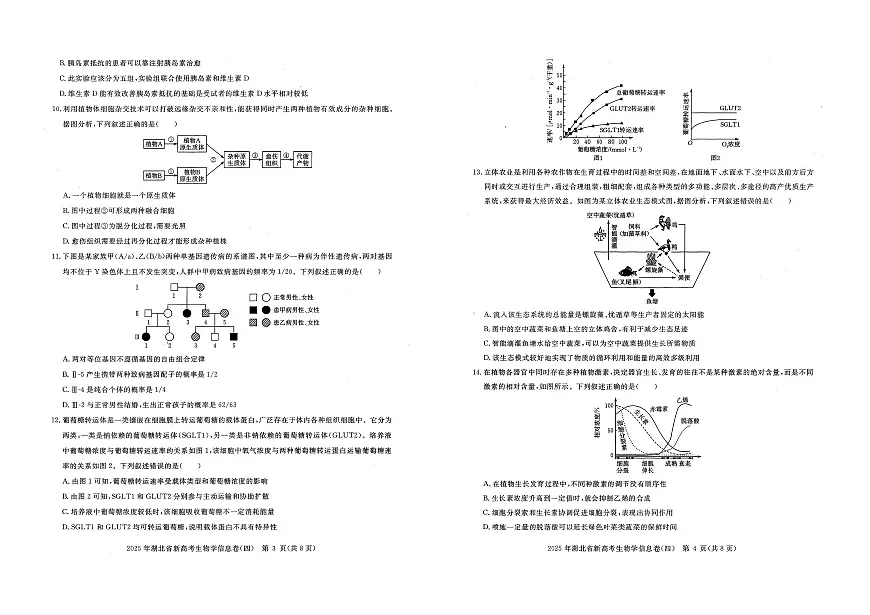 2025年湖北省新高考信息卷（四）生物第2页