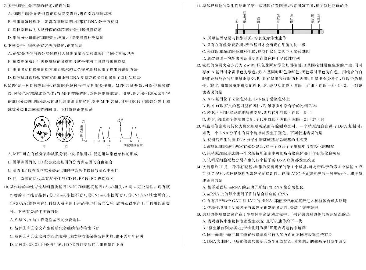 安徽省示范高中培优联盟2024-2025学年高一下学期春季联赛生物试题（PDF版附解析）第2页