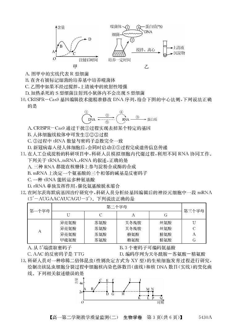 广东省八校联盟2024-2025学年高一下学期教学质量监测（二）生物试题（PDF版附解析）第3页