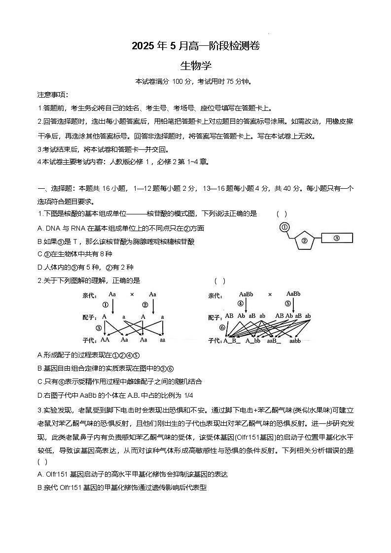 广西桂林市部分学校2024-2025学年高一下学期5月阶段检测生物试题（Word版附答案）第1页