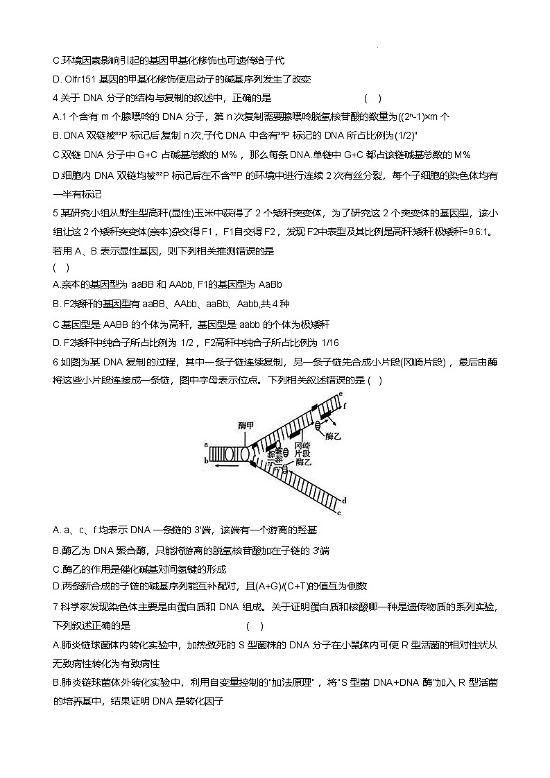 广西桂林市部分学校2024-2025学年高一下学期5月阶段检测生物试题（Word版附答案）第2页