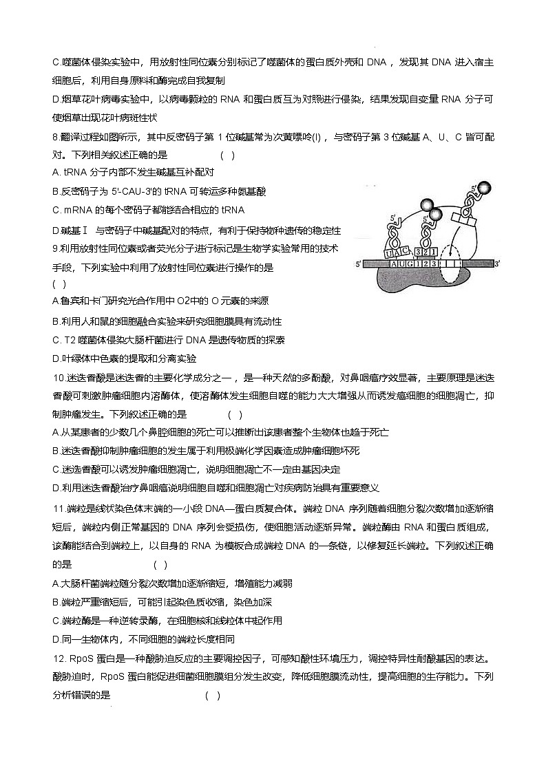 广西桂林市部分学校2024-2025学年高一下学期5月阶段检测生物试题（Word版附答案）第3页