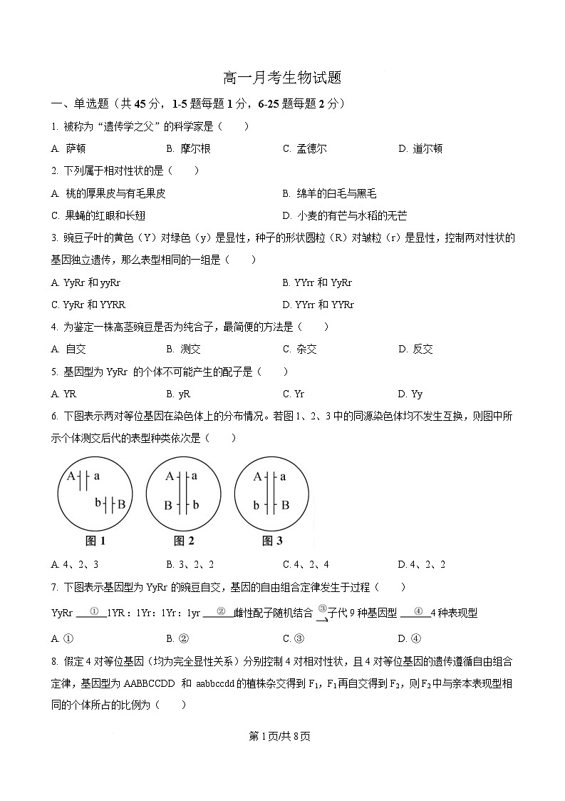 黑龙江省齐齐哈尔市第八中学校2024-2025学年高一下学期3月月考生物试题（原卷版）第1页