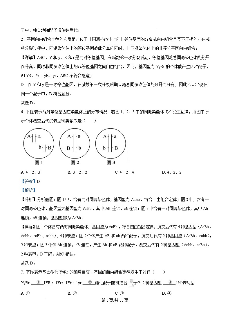 黑龙江省齐齐哈尔市第八中学校2024-2025学年高一下学期3月月考生物试题 Word版含解析第3页