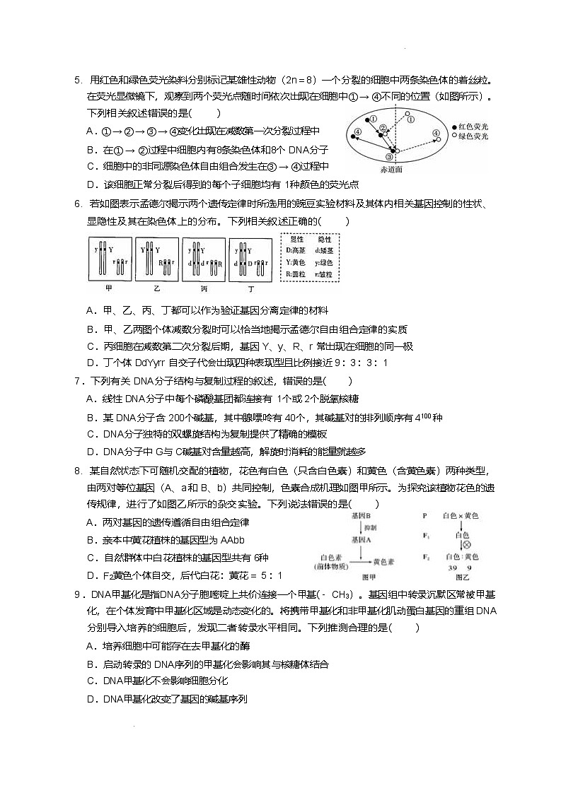 江苏省百校联考2024-2025学年高一下学期5月月考生物（A）试卷第2页