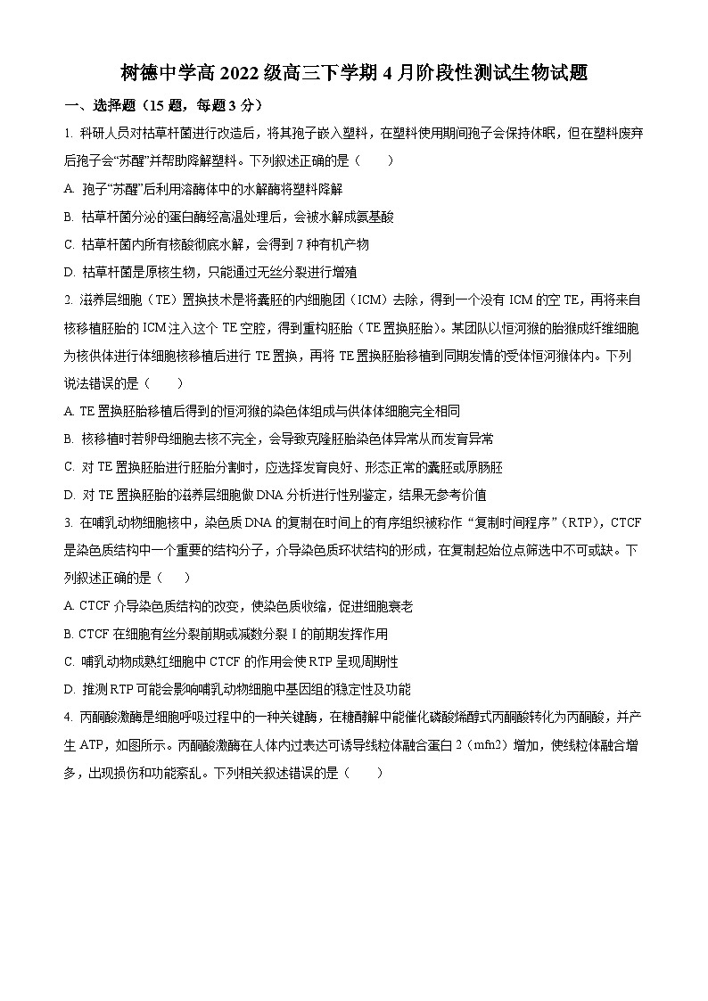 四川省成都市青羊区树德中学2024-2025学年高三下学期4月月考生物试题（原卷版）第1页
