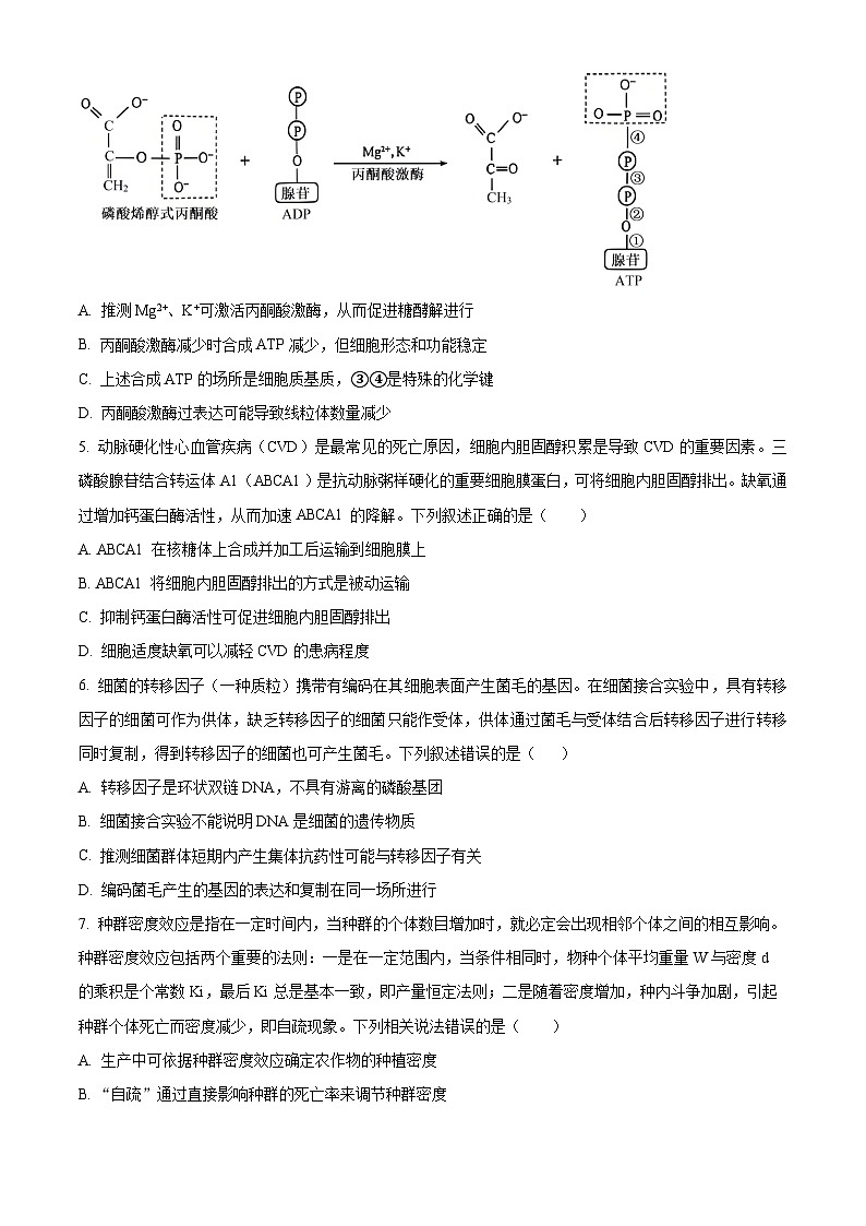 四川省成都市青羊区树德中学2024-2025学年高三下学期4月月考生物试题（原卷版）第2页