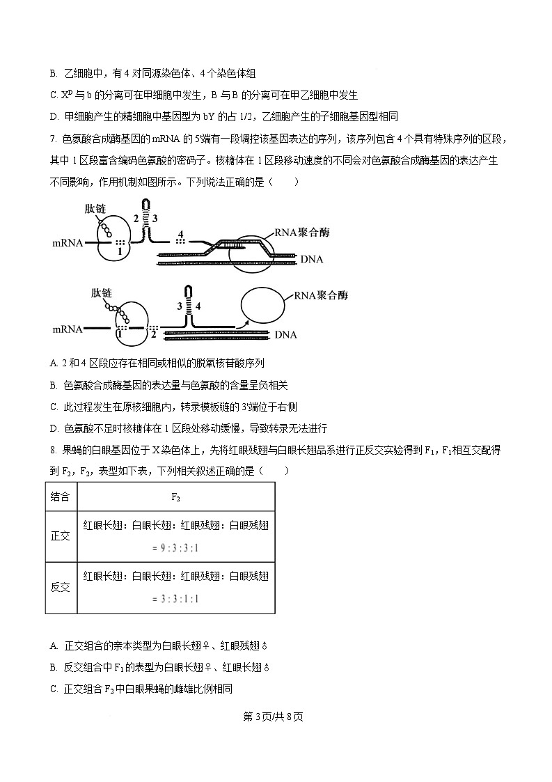 四川省乐山第一中学校2025届高三下学期4月考试生物试题（原卷版）第3页