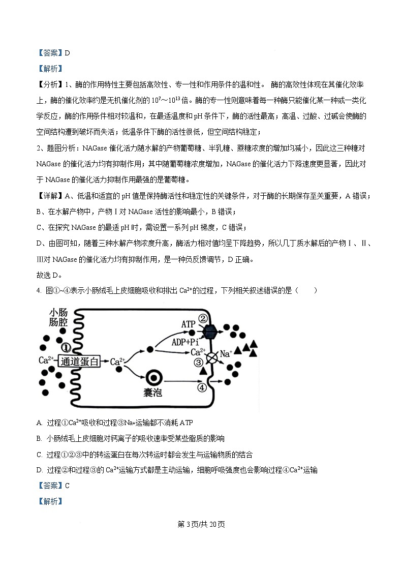 四川省乐山第一中学校2025届高三下学期4月考试生物试题 Word版含解析第3页