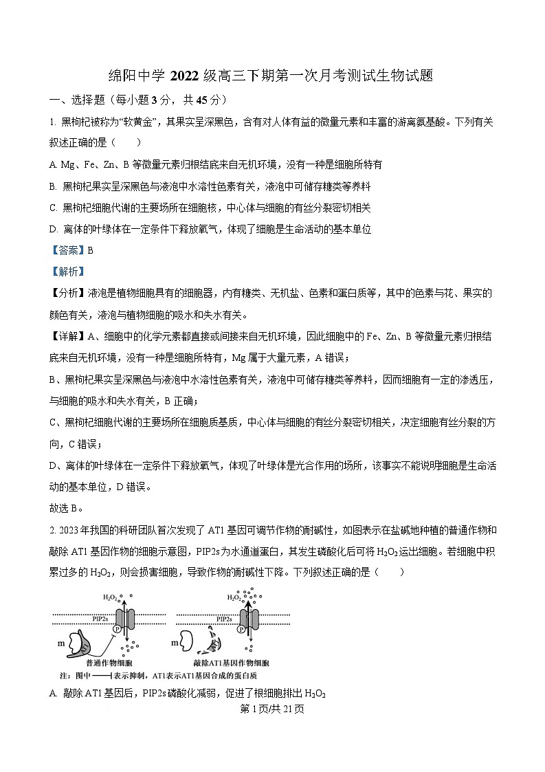 四川省绵阳市绵阳中学2024-2025学年高三下学期第一次月考测试生物试题 Word版含解析第1页