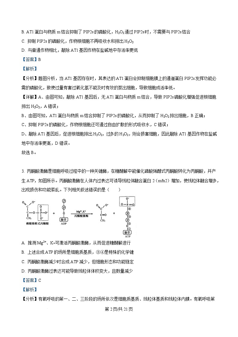 四川省绵阳市绵阳中学2024-2025学年高三下学期第一次月考测试生物试题 Word版含解析第2页
