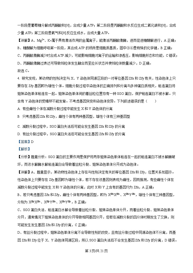 四川省绵阳市绵阳中学2024-2025学年高三下学期第一次月考测试生物试题 Word版含解析第3页