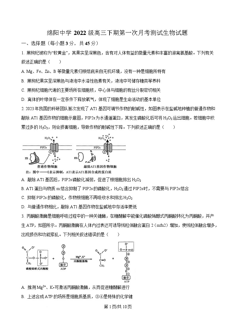 四川省绵阳市绵阳中学2024-2025学年高三下学期第一次月考测试生物试题（原卷版）第1页