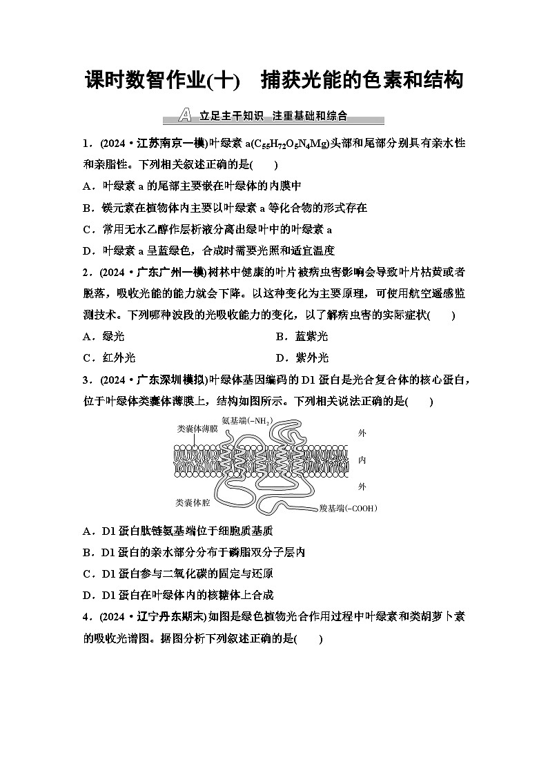 2026届高考生物学（通用版）一轮复习课时数智作业10　捕获光能的色素和结构第1页