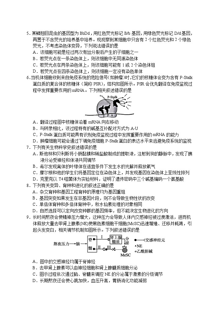 江苏省盐城市2025届高三下学期5月考前指导卷（押题）生物 含答案第2页