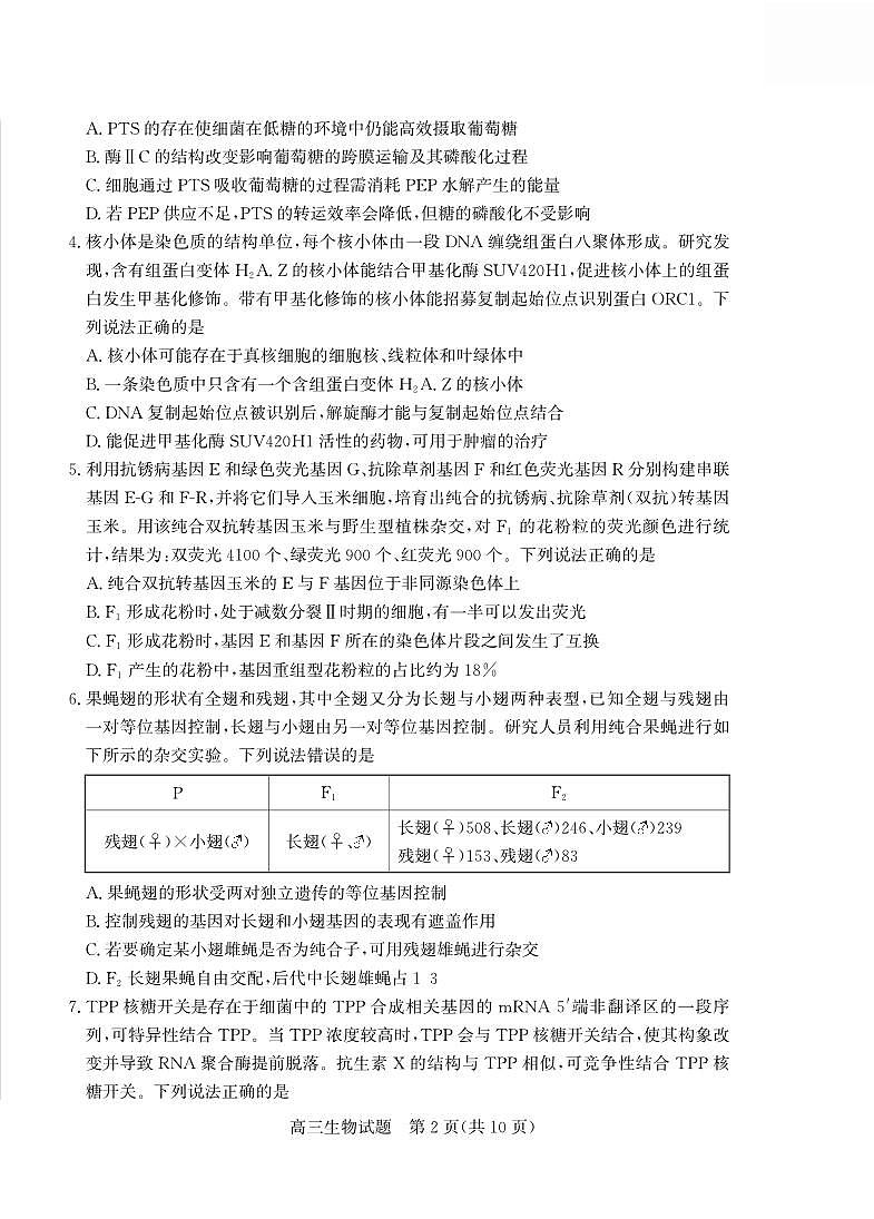 2025年山东省德州市高三生物高考三模试题及其答案第2页
